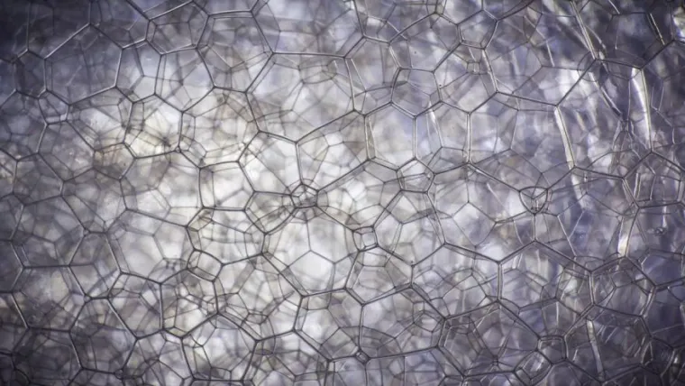 15 fotografija slikanih izbliza, možete li pogoditi o kojim se predmetima radi?