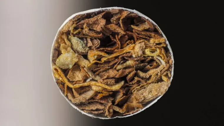 15 fotografija slikanih izbliza, možete li pogoditi o kojim se predmetima radi?