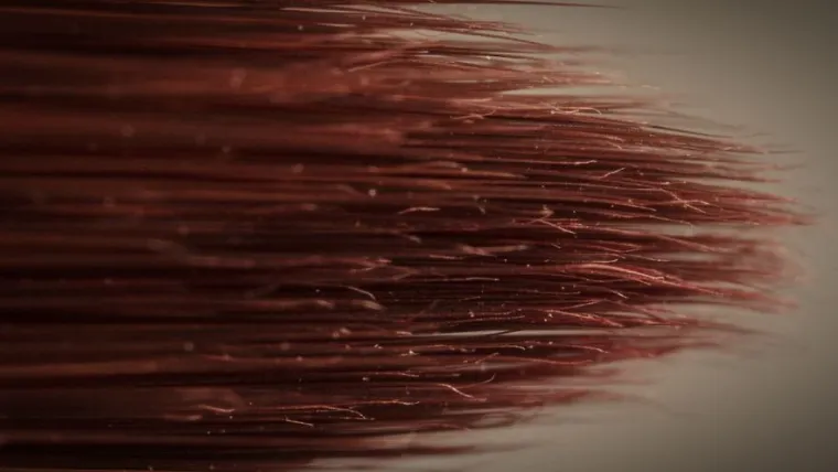 15 fotografija slikanih izbliza, možete li pogoditi o kojim se predmetima radi?