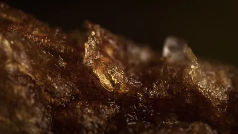 15 fotografija slikanih izbliza, možete li pogoditi o kojim se predmetima radi?