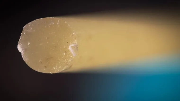 15 fotografija slikanih izbliza, možete li pogoditi o kojim se predmetima radi?