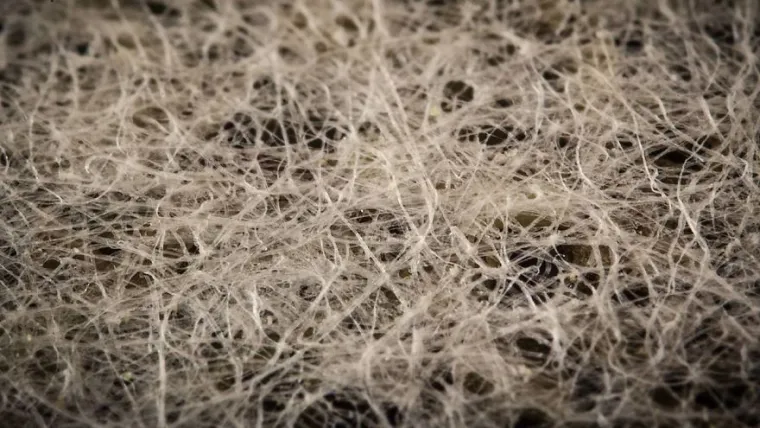 15 fotografija slikanih izbliza, možete li pogoditi o kojim se predmetima radi?