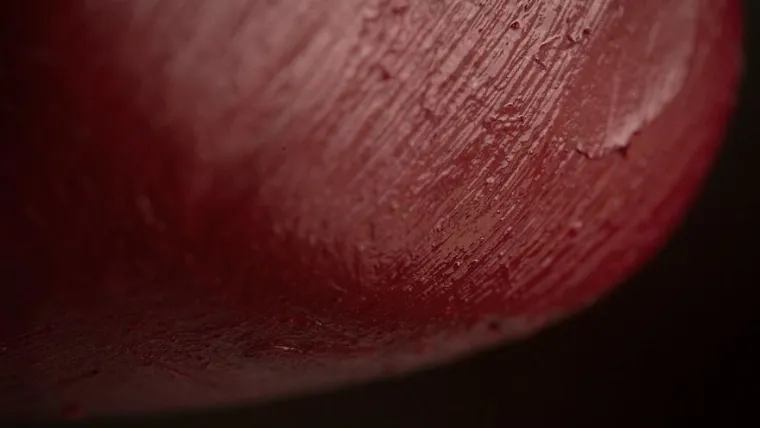 15 fotografija slikanih izbliza, možete li pogoditi o kojim se predmetima radi?