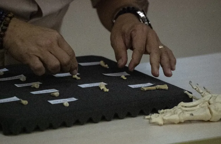 NOVA LJUDSKA VRSTA HOMO LUZONENSIS: Fosili su pronađeni na otoku Luzon na Filipinima