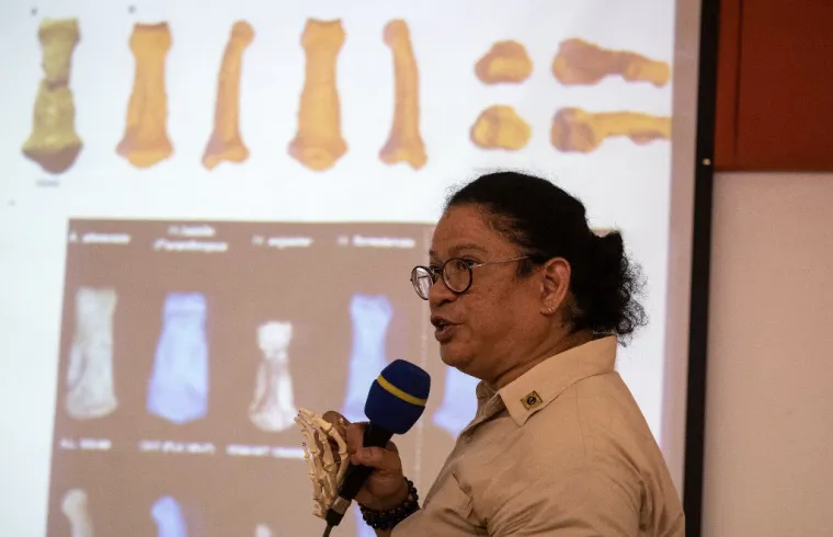 NOVA LJUDSKA VRSTA HOMO LUZONENSIS: Fosili su pronađeni na otoku Luzon na Filipinima