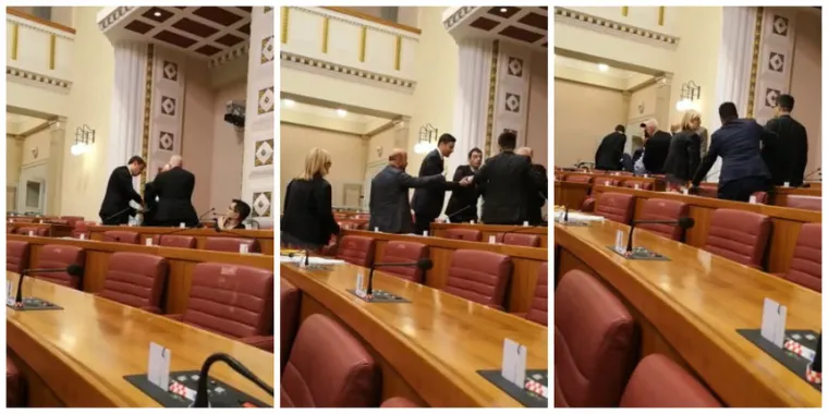 O ovome su Hrvati pričali zadnjih dana: Skupljanje novca za Milu, novi show u Saboru, slučaj Žalac...