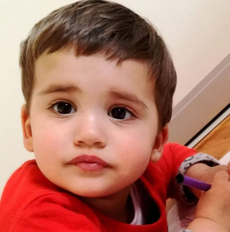 O ovome su Hrvati pričali zadnjih dana: Skupljanje novca za Milu, novi show u Saboru, slučaj Žalac...