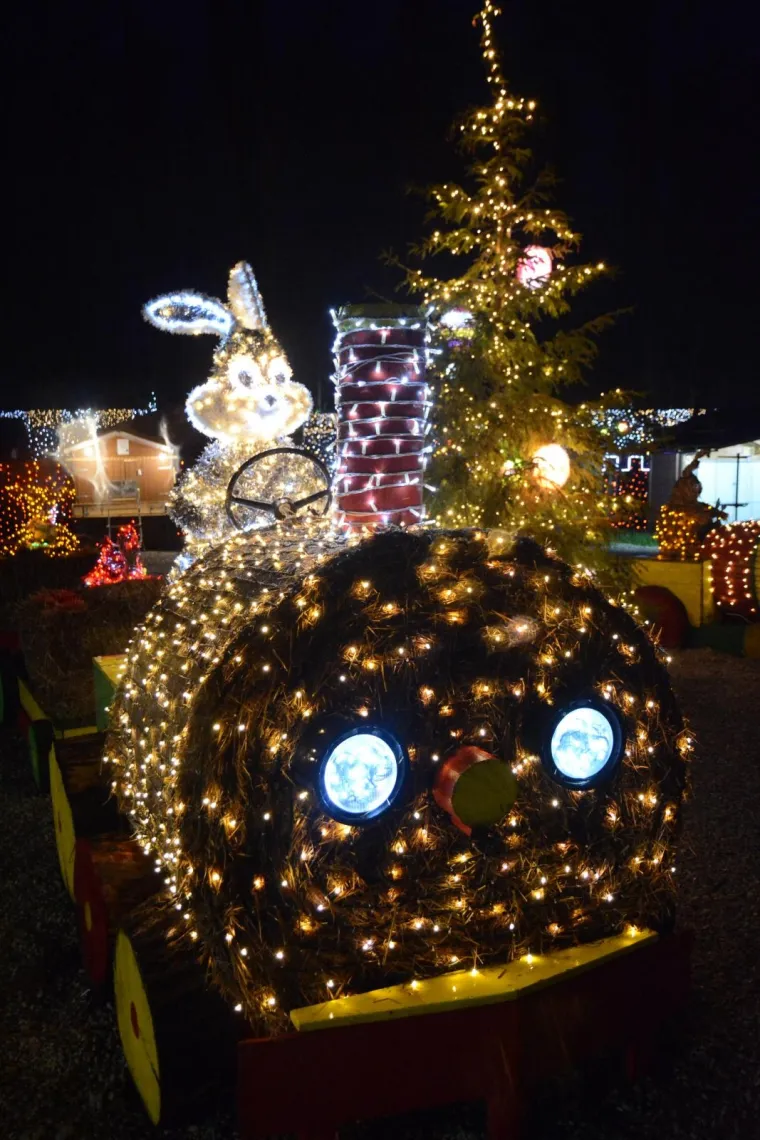 Uskrsna priča na imanju obitelji Salaj: &Scaron;to kažu zeko, koka, pilić i jaje o dolasku proljeća?