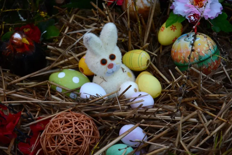 Uskrsna priča na imanju obitelji Salaj: &Scaron;to kažu zeko, koka, pilić i jaje o dolasku proljeća?