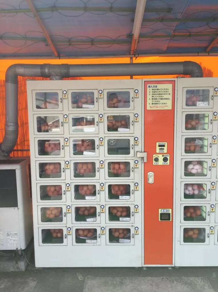 DOKAZ DA JAPAN NIJE KAO DRUGE ZEMLJE: OK, znali smo da su fanatici, ali ba&scaron; ovoliki