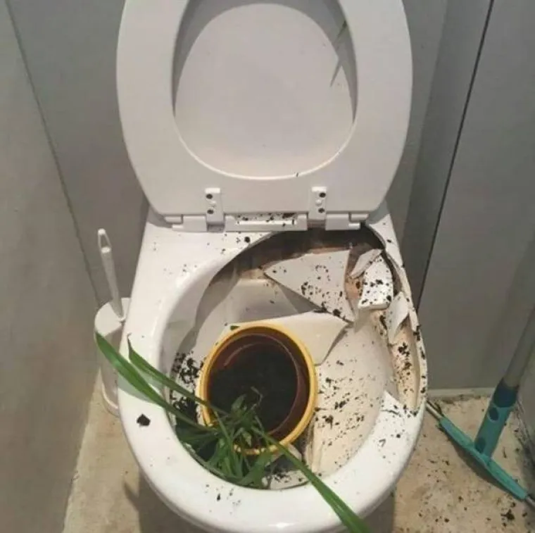 Nije u redu naslađivati se, ali teško je odoljeti kad vidite ove urnebesne prizore