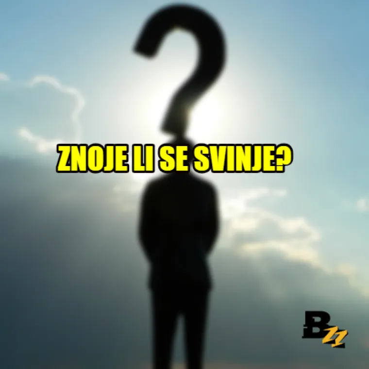 'Može li se prđenjem smršaviti?': 15 najbizarnijih, ali i čestih Google pitanja
