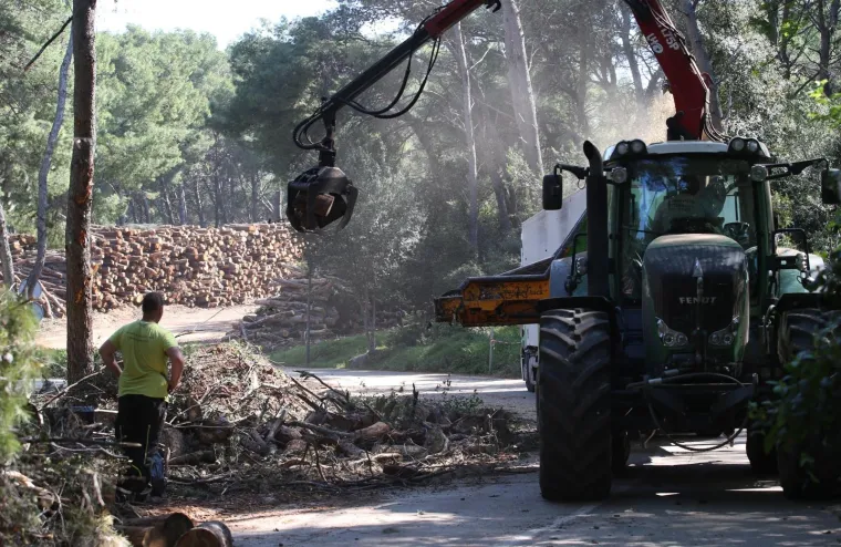Sječa Marjana: Posjećeno vi&scaron;e od 1400 stabala koja nisu bila označena za sječu!