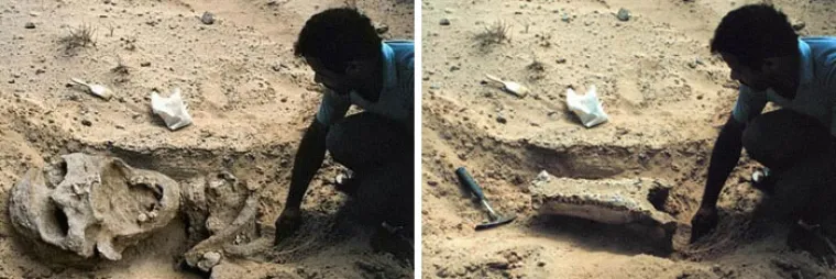 20 viralnih slika za koje su ljudi mislili da su stvarne, ali su zapravo prosta laž