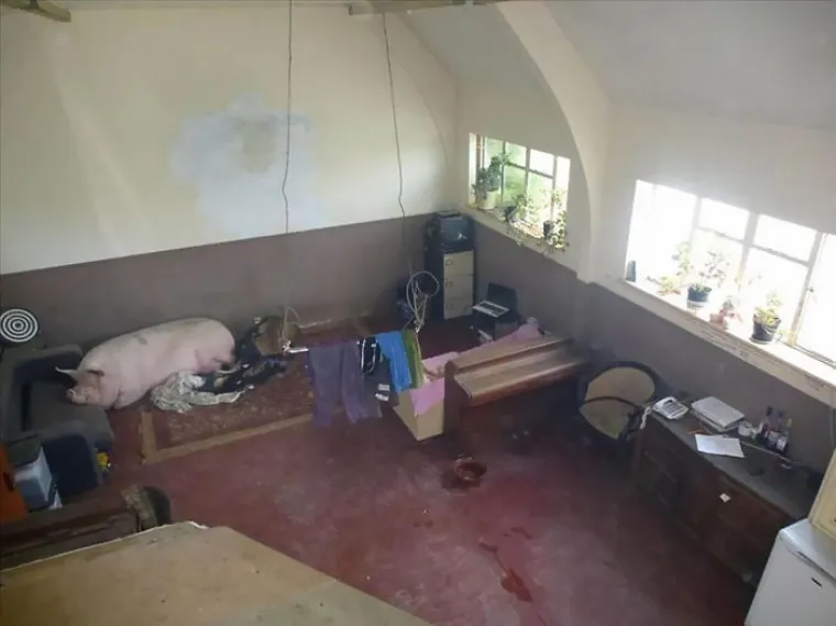 Svaki pokušaj je dobar pokušaj?: 25 užasnih slika agenata koji pokušavaju iznajmiti stanove