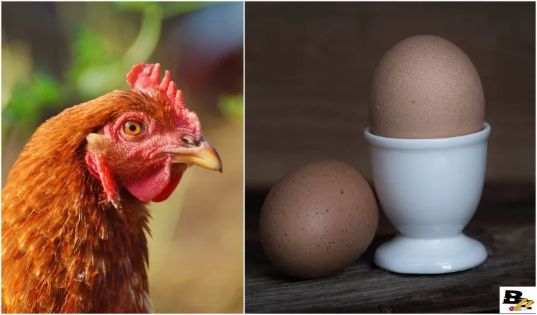 Bandić ili Zagreb, Tuđman ili HDZ i jo&scaron; 13 'koko&scaron; jaje' pitanja koja 'muče' na&scaron;e ljude