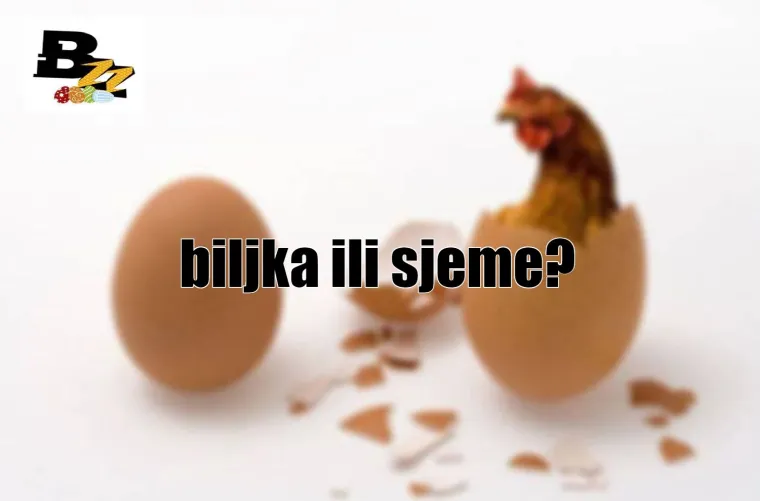 Bandić ili Zagreb, Tuđman ili HDZ i jo&scaron; 13 'koko&scaron; jaje' pitanja koja 'muče' na&scaron;e ljude