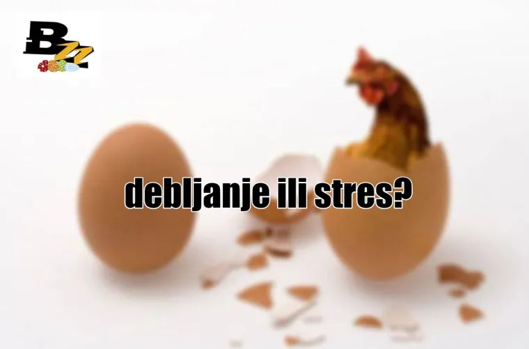 Bandić ili Zagreb, Tuđman ili HDZ i jo&scaron; 13 'koko&scaron; jaje' pitanja koja 'muče' na&scaron;e ljude