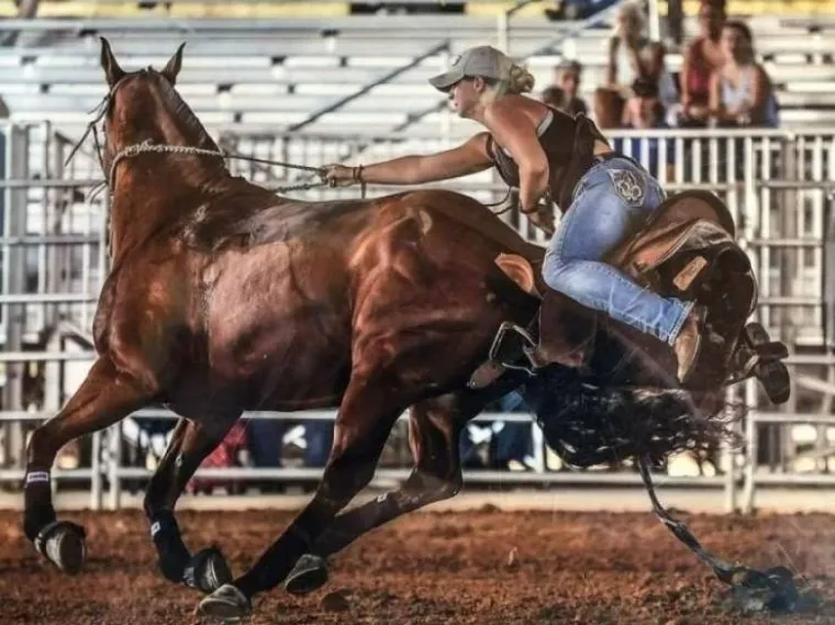 FOTOGRAFI UHVATILI PRIZORE KOJE BA&Scaron; I NISU TREBALI: Tajming im je bio besprijekoran