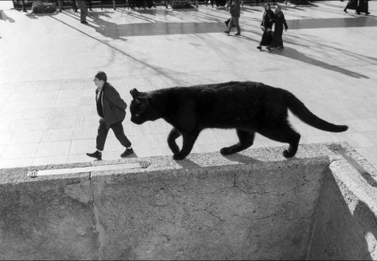 FOTOGRAFI UHVATILI PRIZORE KOJE BA&Scaron; I NISU TREBALI: Tajming im je bio besprijekoran