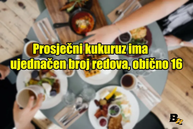 Sir se najvi&scaron;e krade, kečap je služio kao lijek: 25 bizarnih činjenica o hrani koje vam je već najvjerojatnije dosta