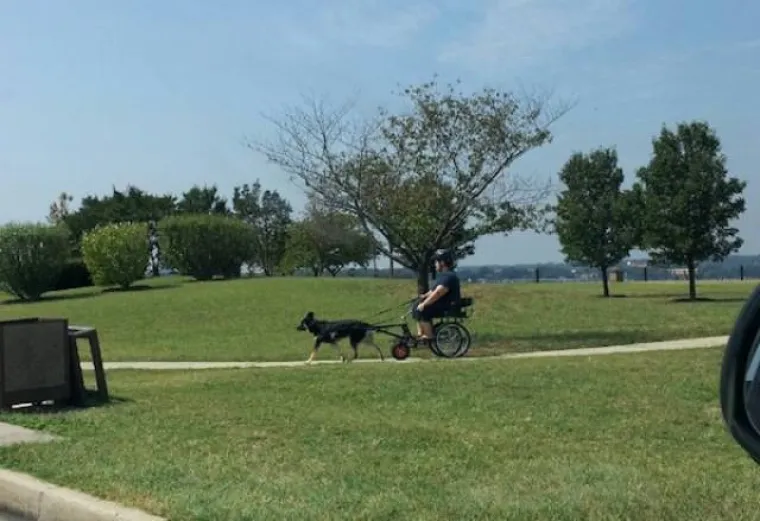 NJIHOVA LIJENOST POPRIMILA JE ZABRINJAVAJUĆE RAZMJERE: Vidi se iz aviona, nemaju nimalo srama