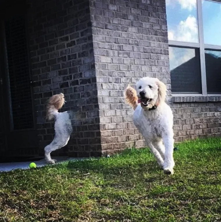 PRIZORI KOJI ĆE VAS PROGONITI U NOĆNIM MORAMA: Kad panoramsko snimanje pođe po zlu