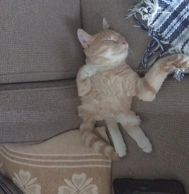 PRIZORI KOJI ĆE VAS PROGONITI U NOĆNIM MORAMA: Kad panoramsko snimanje pođe po zlu