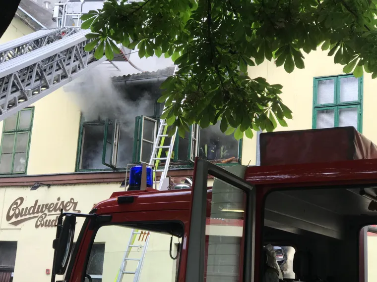 Pogledajte vatrogasce u akciji: Gori pivnica na Tre&scaron;njevci