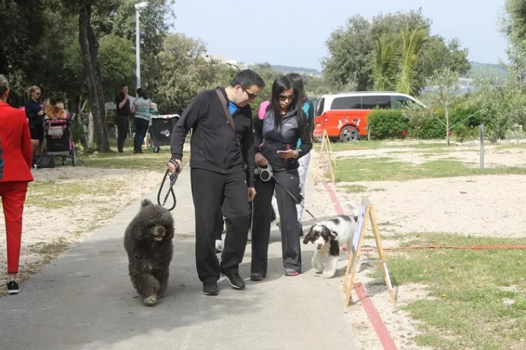 Preslatki su! Ovo su najljep&scaron;i psi s ovogodi&scaron;nje izložbe pasa u Dubrovniku