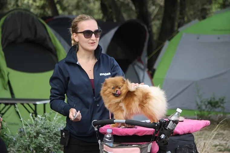 Preslatki su! Ovo su najljep&scaron;i psi s ovogodi&scaron;nje izložbe pasa u Dubrovniku