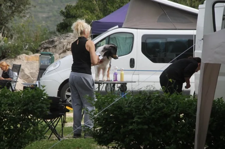 Preslatki su! Ovo su najljep&scaron;i psi s ovogodi&scaron;nje izložbe pasa u Dubrovniku