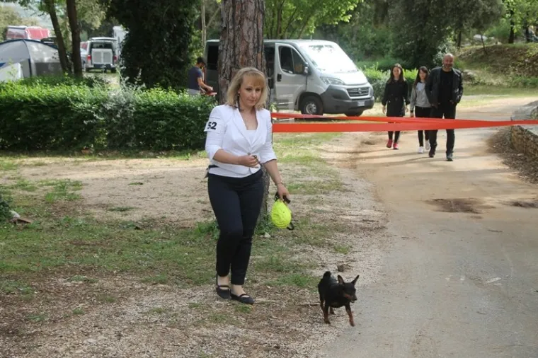 Preslatki su! Ovo su najljep&scaron;i psi s ovogodi&scaron;nje izložbe pasa u Dubrovniku