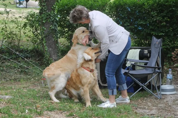 Preslatki su! Ovo su najljep&scaron;i psi s ovogodi&scaron;nje izložbe pasa u Dubrovniku