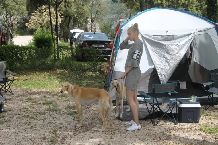 Preslatki su! Ovo su najljep&scaron;i psi s ovogodi&scaron;nje izložbe pasa u Dubrovniku