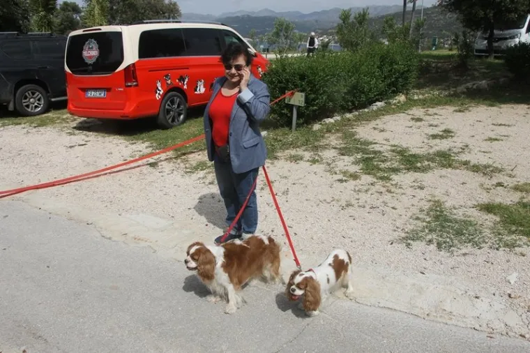 Preslatki su! Ovo su najljep&scaron;i psi s ovogodi&scaron;nje izložbe pasa u Dubrovniku