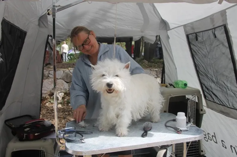 Preslatki su! Ovo su najljep&scaron;i psi s ovogodi&scaron;nje izložbe pasa u Dubrovniku