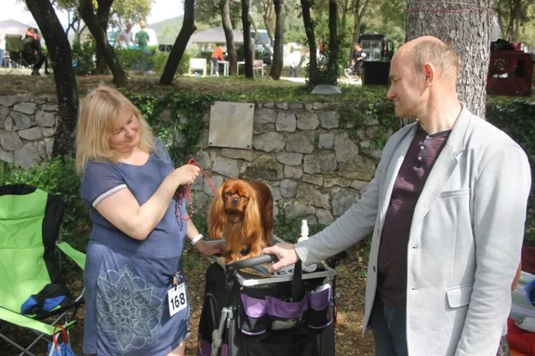 Preslatki su! Ovo su najljep&scaron;i psi s ovogodi&scaron;nje izložbe pasa u Dubrovniku