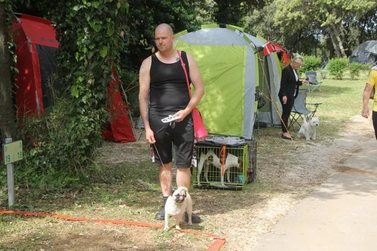 Preslatki su! Ovo su najljep&scaron;i psi s ovogodi&scaron;nje izložbe pasa u Dubrovniku