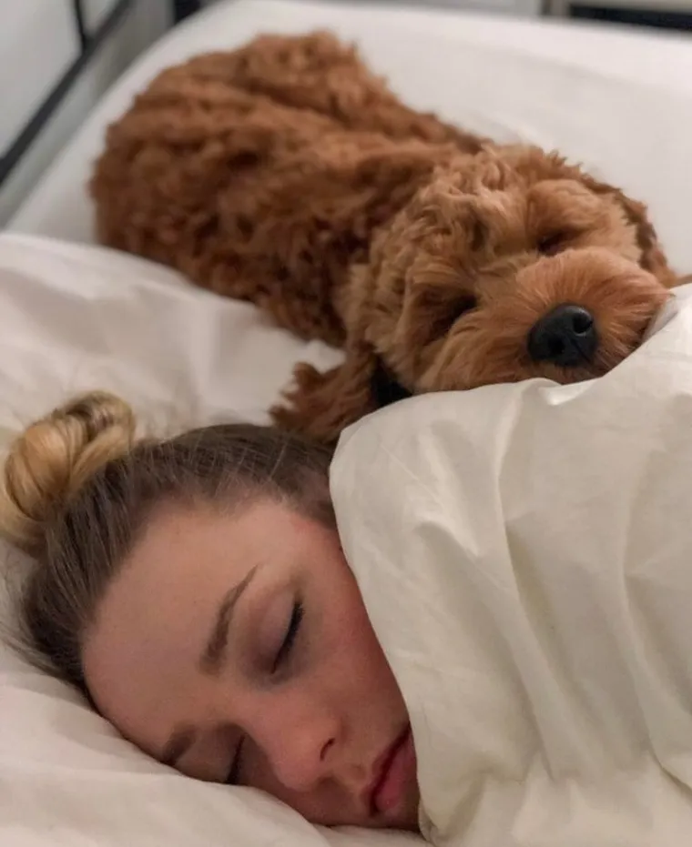 DIRLJIVI PRIZORI ČISTE LJUBAVI: Njihova je misija da vas čine sretnima, gledajte koliko vas va&scaron;i dlakavci stvarno vole