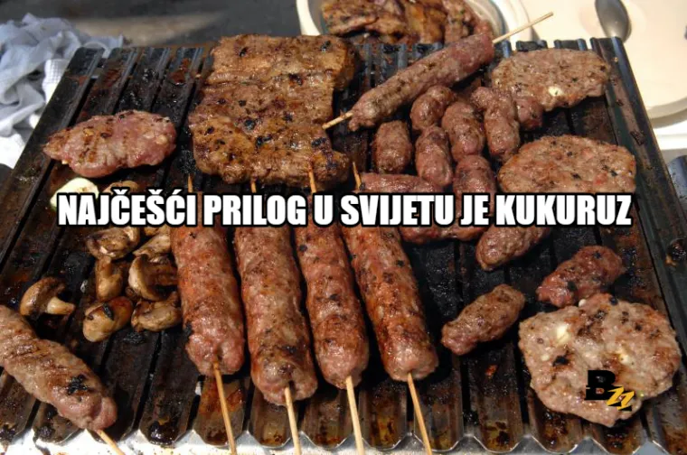 Osim da ga je izumila žena, saznajte jo&scaron; 10 zanimljivosti o RO&Scaron;TILJU