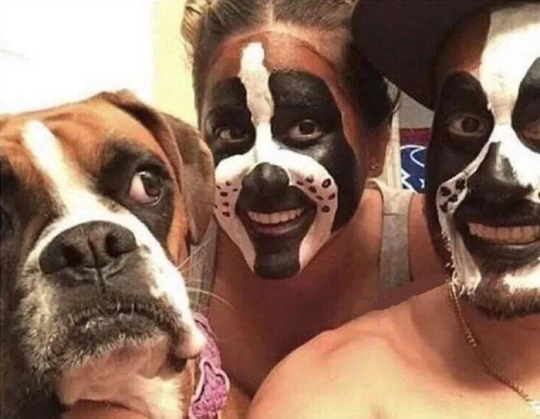 OVO SMO DANAS NAŠLI NA INTERNETU I NE ZNAMO ŠTO DA MISLIMO O TOME: Dnevna doza čudnovatih fotografija nasmijala je internet