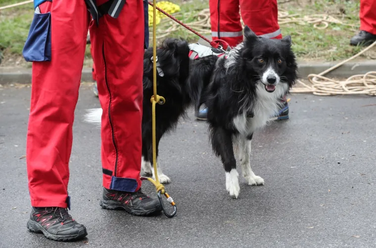 Pripreme za sezonu: HGSS održao sadržajnu vježbu evakucije na Zagrebačkom velesajmu