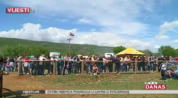 Dicmo opet postao Korida: Tisuće ljudi uživalo u tradicionalnim borbama bikova u Zagori