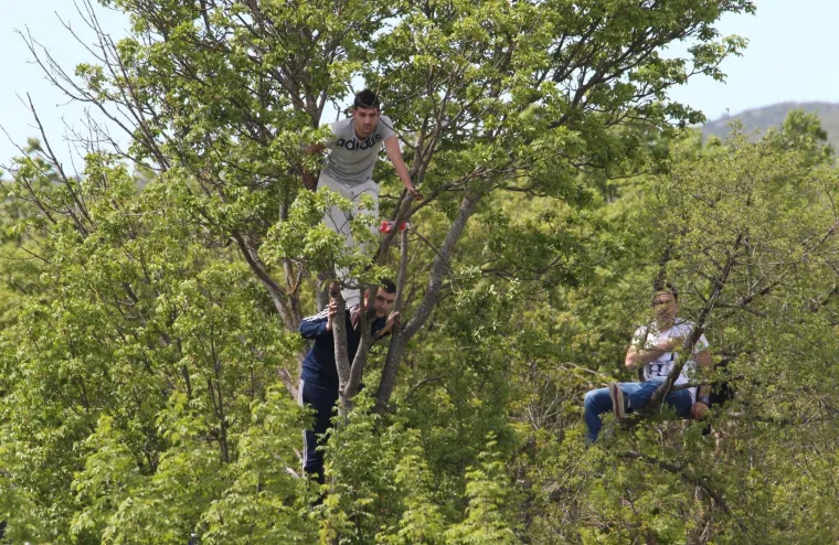 Dicmo opet postao Korida: Tisuće ljudi uživalo u tradicionalnim borbama bikova u Zagori