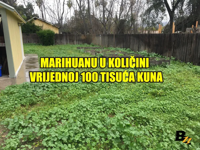 Marihuana, kosti mamuta, zlatnici: Pogledajte 15 čuda koja su ljudi našli u svom dvorištu