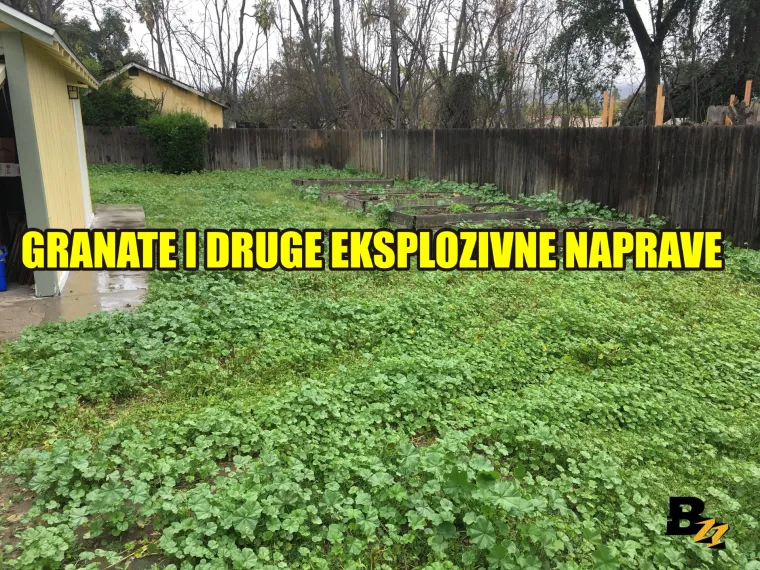 Marihuana, kosti mamuta, zlatnici: Pogledajte 15 čuda koja su ljudi našli u svom dvorištu