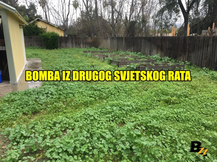 Marihuana, kosti mamuta, zlatnici: Pogledajte 15 čuda koja su ljudi našli u svom dvorištu