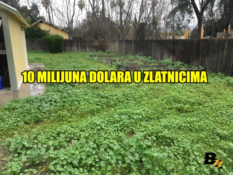 Marihuana, kosti mamuta, zlatnici: Pogledajte 15 čuda koja su ljudi našli u svom dvorištu