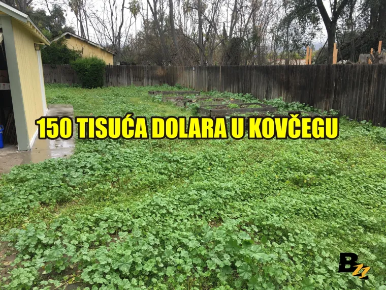 Marihuana, kosti mamuta, zlatnici: Pogledajte 15 čuda koja su ljudi našli u svom dvorištu